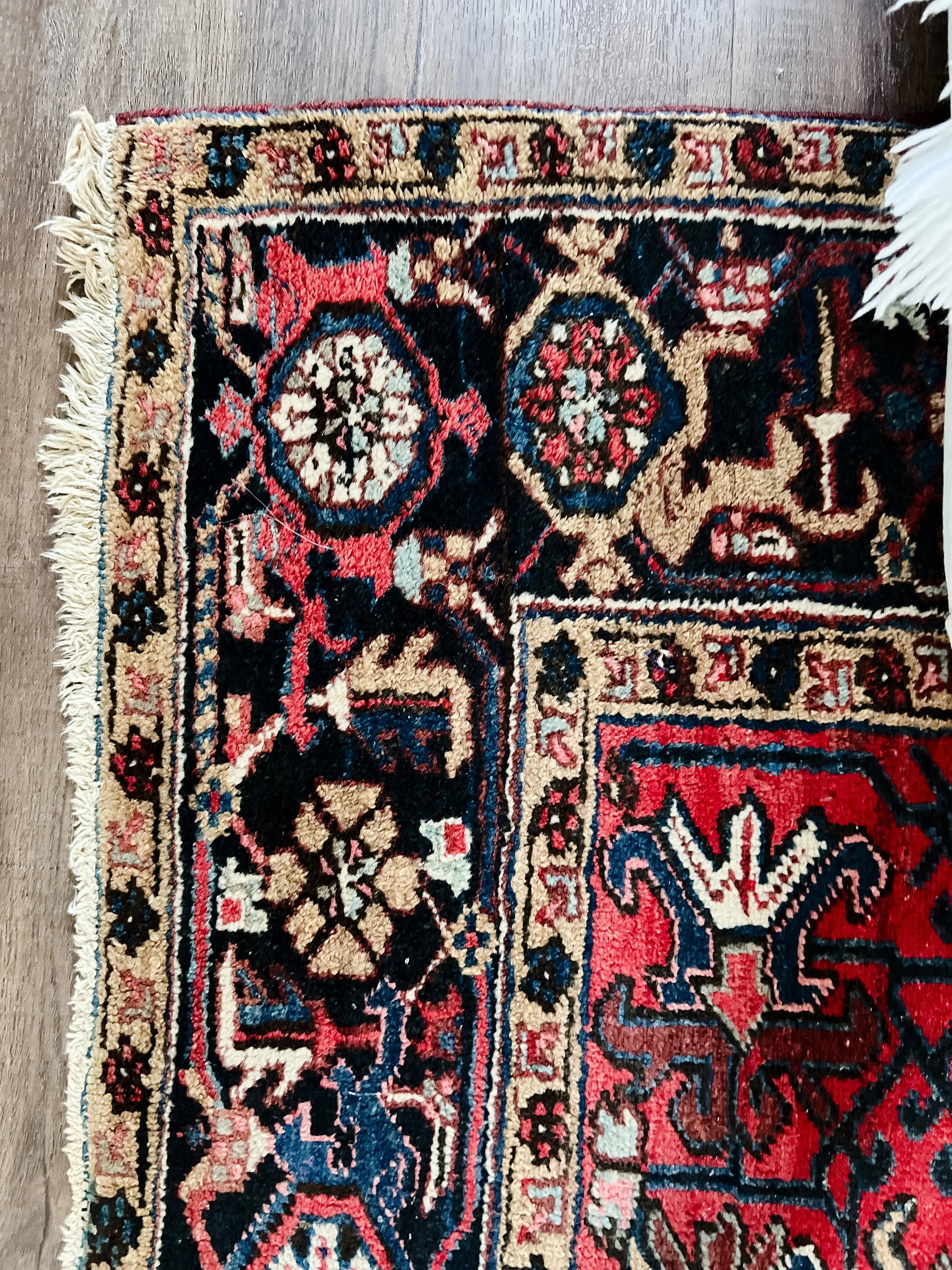 Vintage Hand Knotted Rug # 3295 | 8' 6