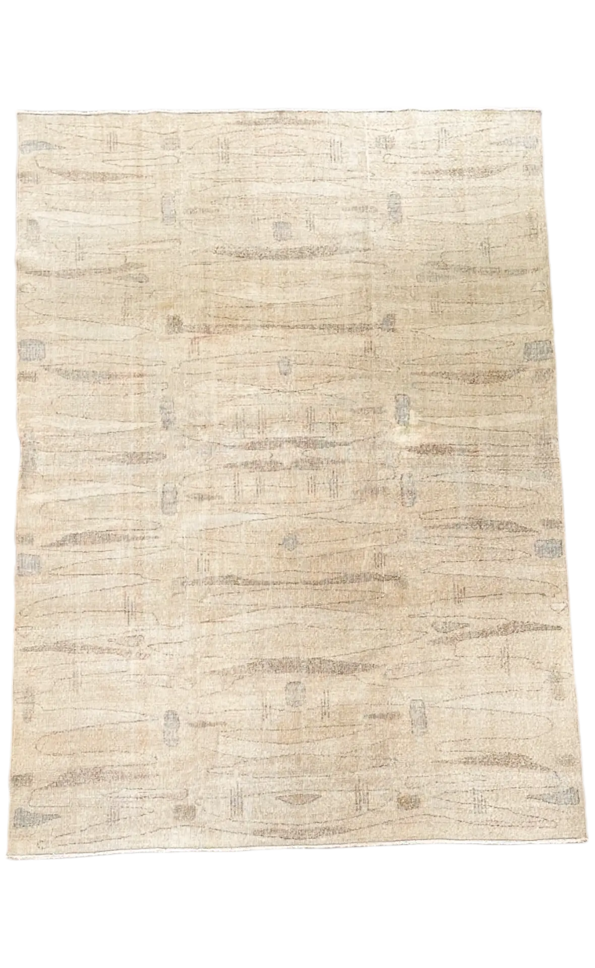 Vintage Rug # 3252 | 6' 10