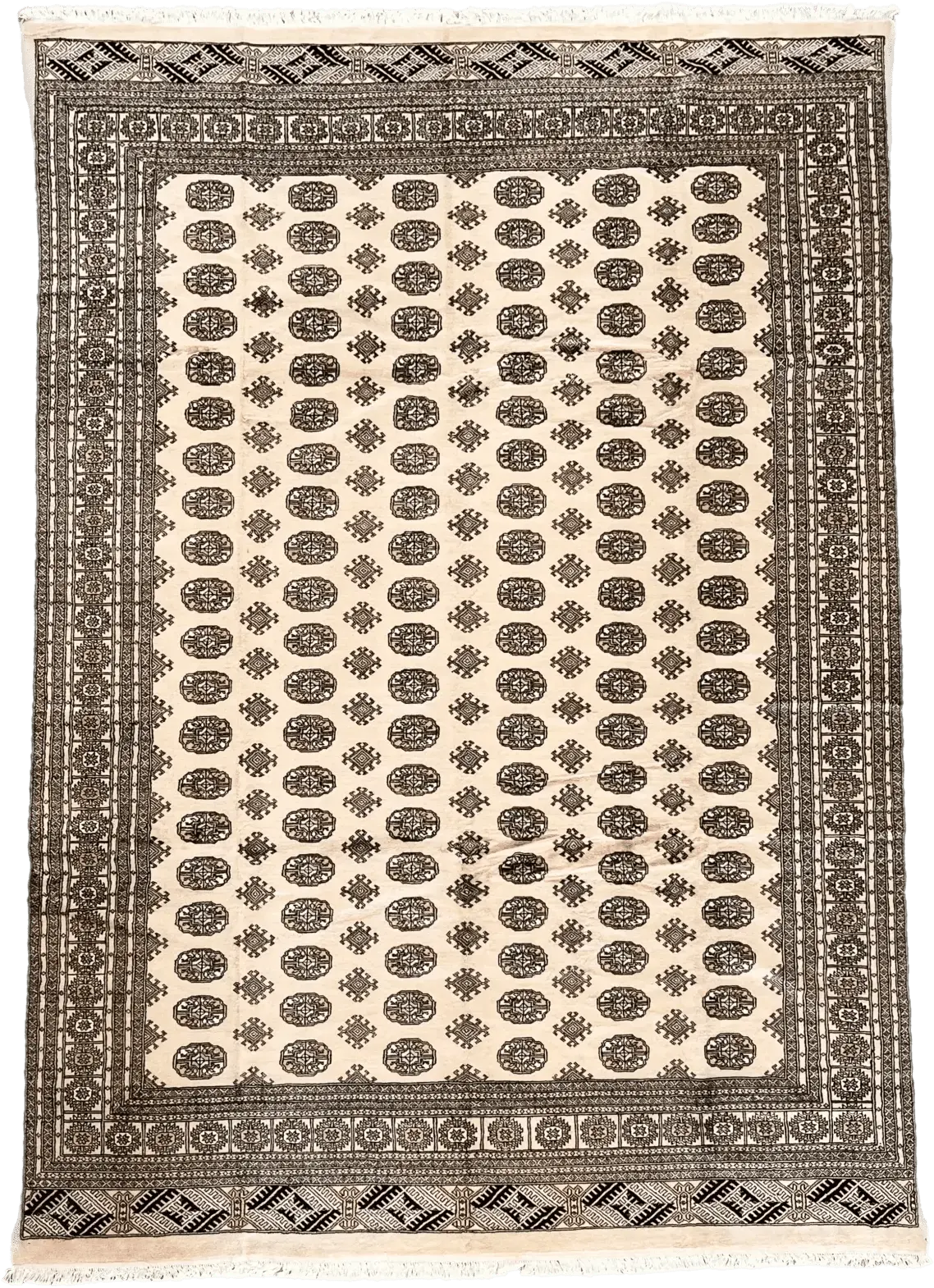 New Hand Knotted Rug # 3053 | 9' 1