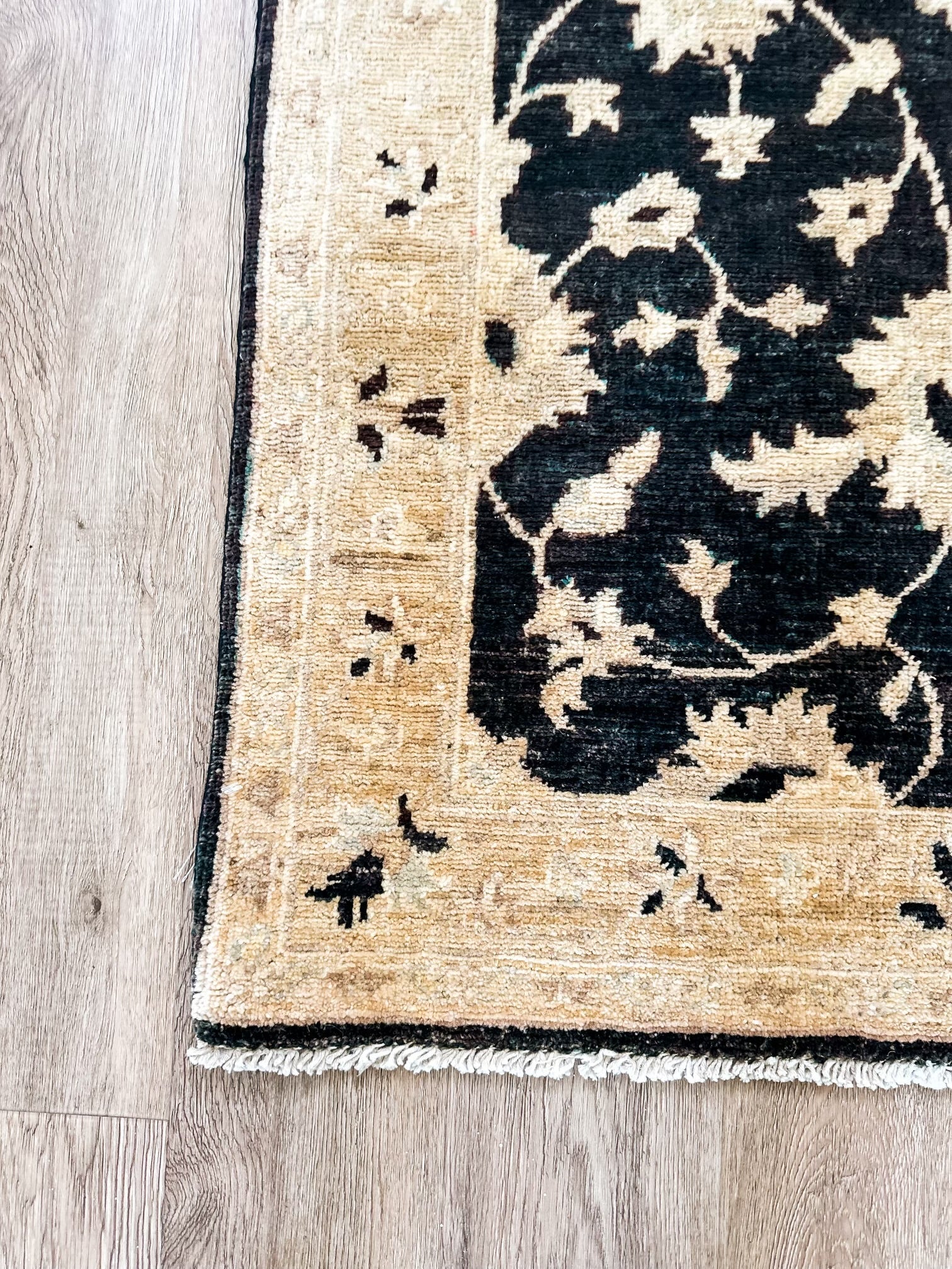 New Hand Knotted Rug # 2802 | 2' 7