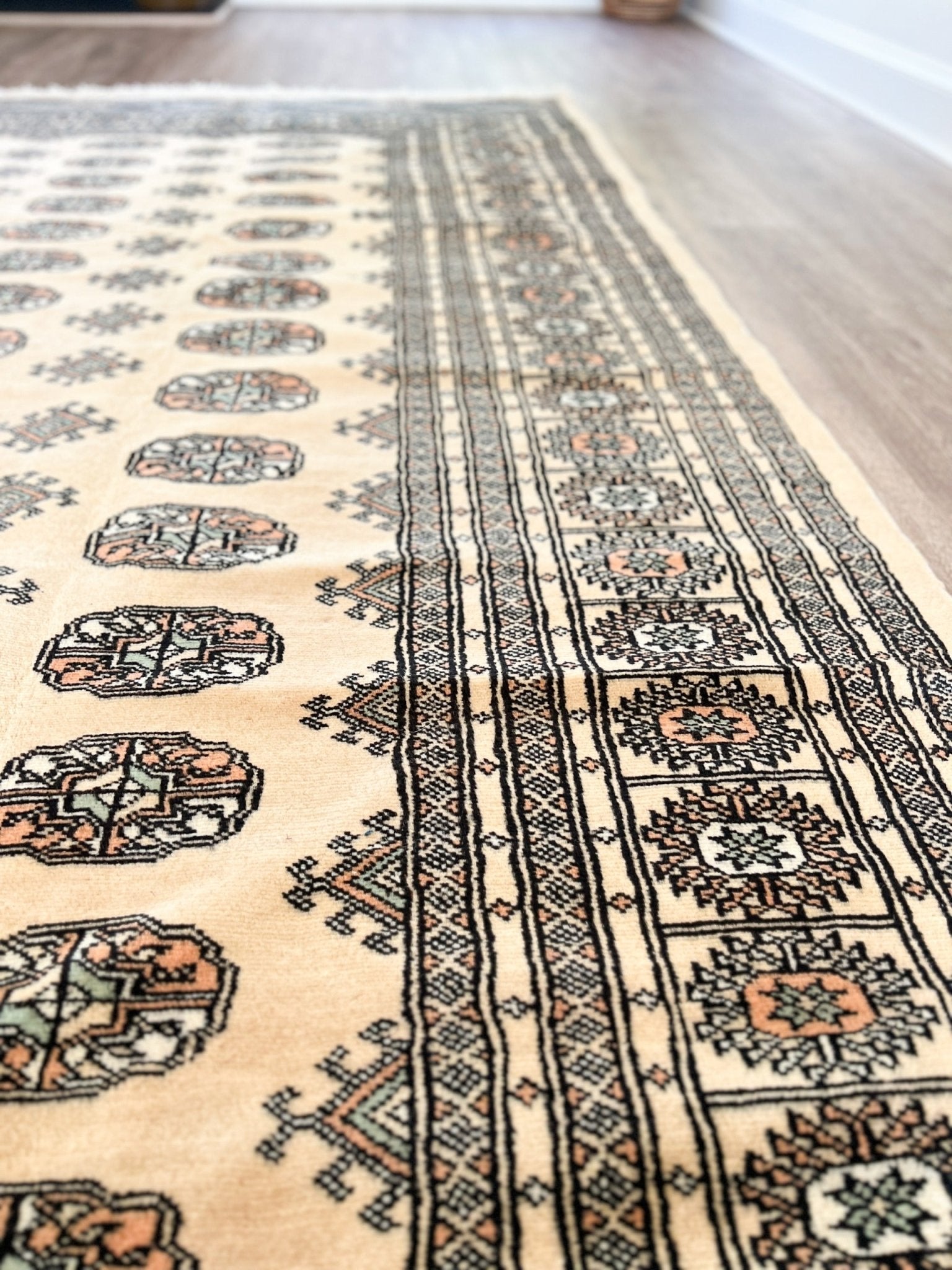 New Hand Knotted Rug # 3053 | 9' 1